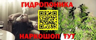 хмурый Малгобек