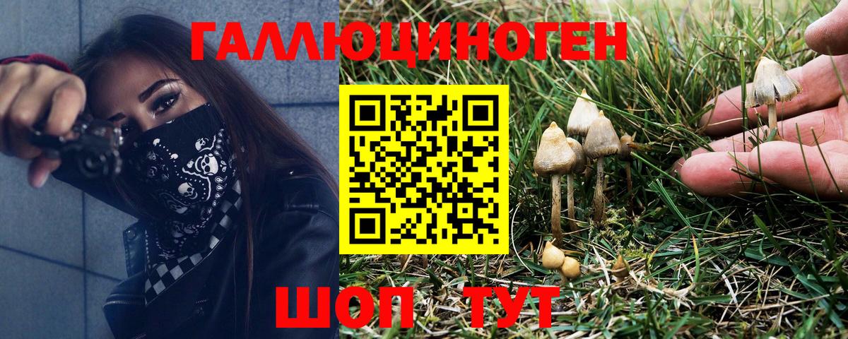 где можно купить наркотик  Вход с VPN  Галлюциногенные грибы прущие грибы  Заволжье  Галлюциногенные грибы Cubensis 