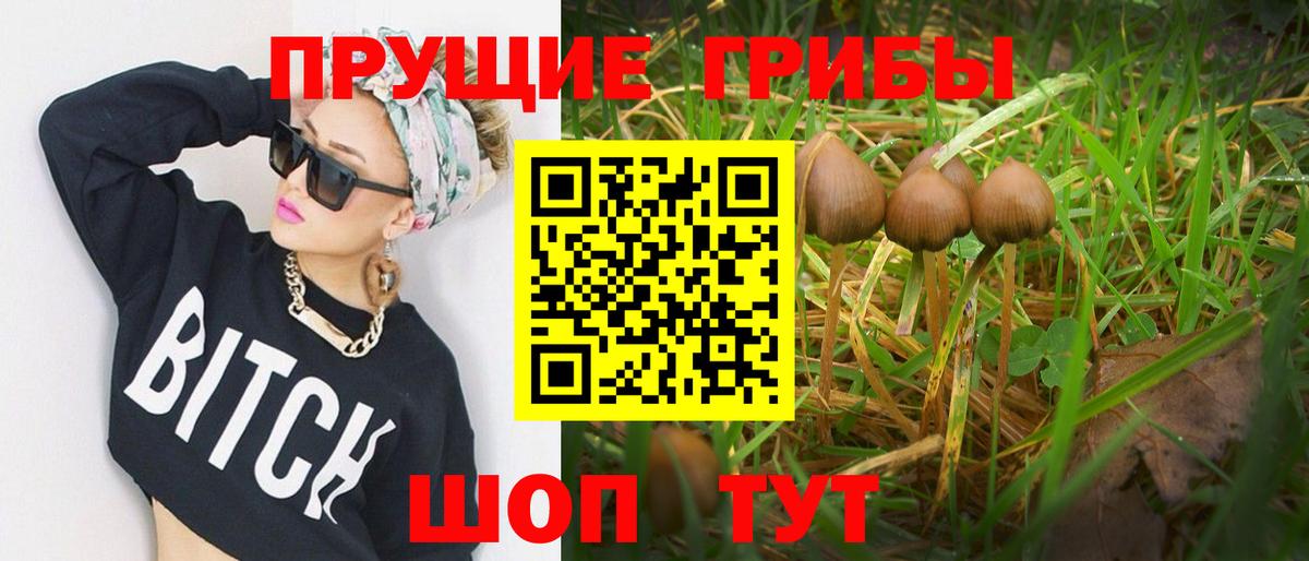 Галлюциногенные грибы ЛСД Заволжье